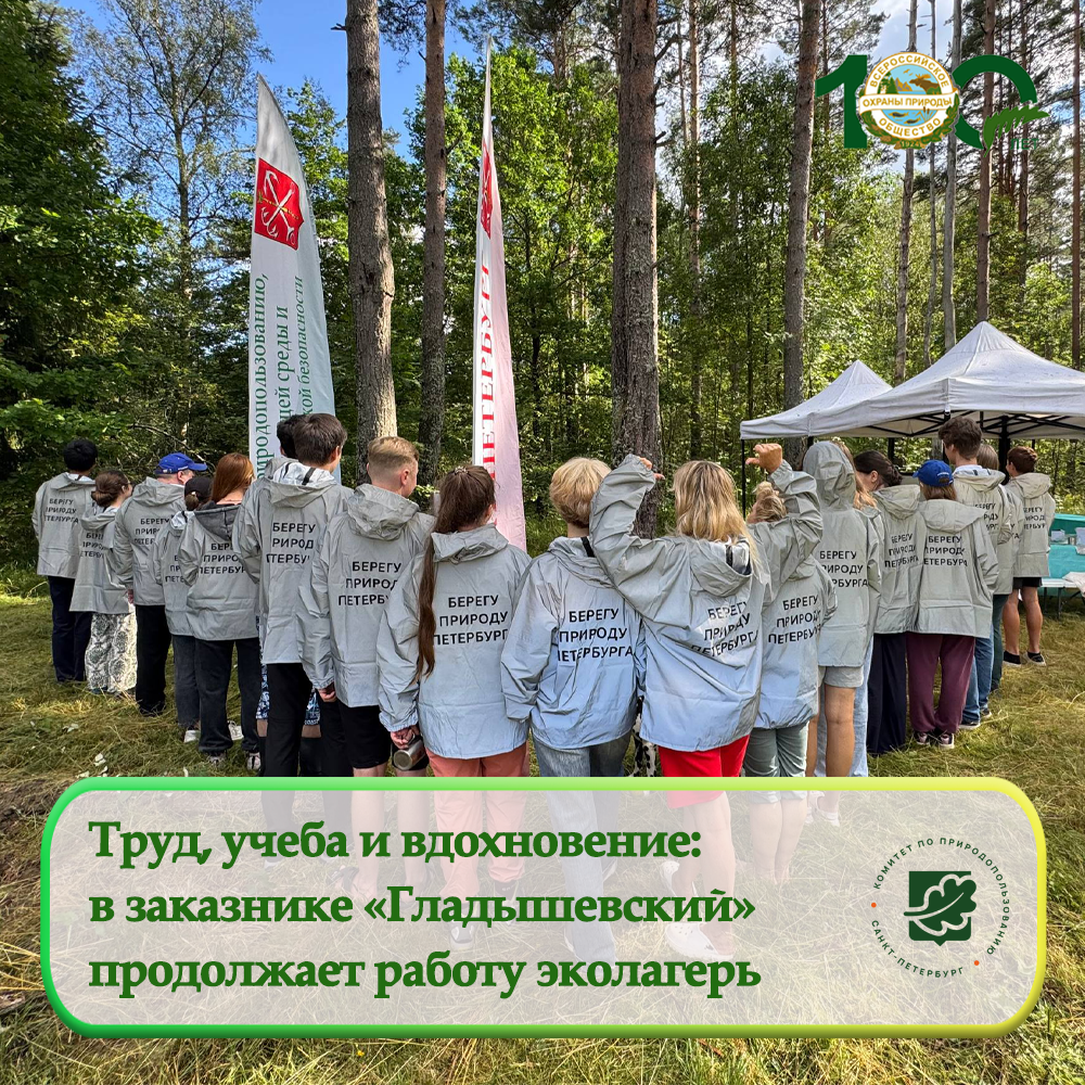 В заказнике «Гладышевский» продолжает работу экологический лагерь В заказнике «Гладышевский» продолжает работу экологический лагерь