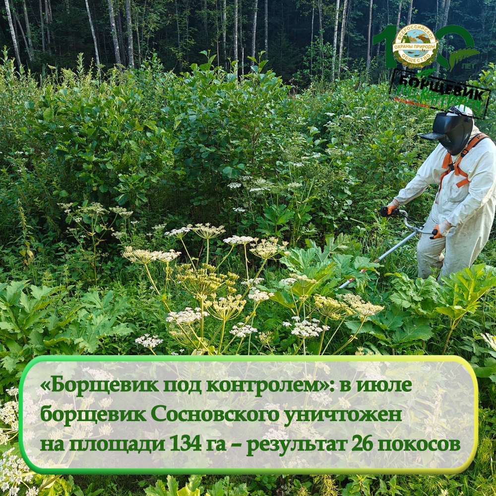«Борщевик под контролем!»