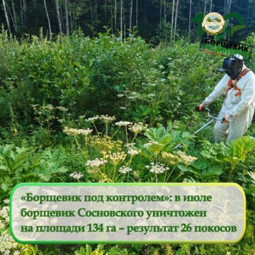 «Борщевик под контролем»: в июле прошло 26 покосов