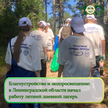 В Ленинградской области начал работу летний дневной лагерь