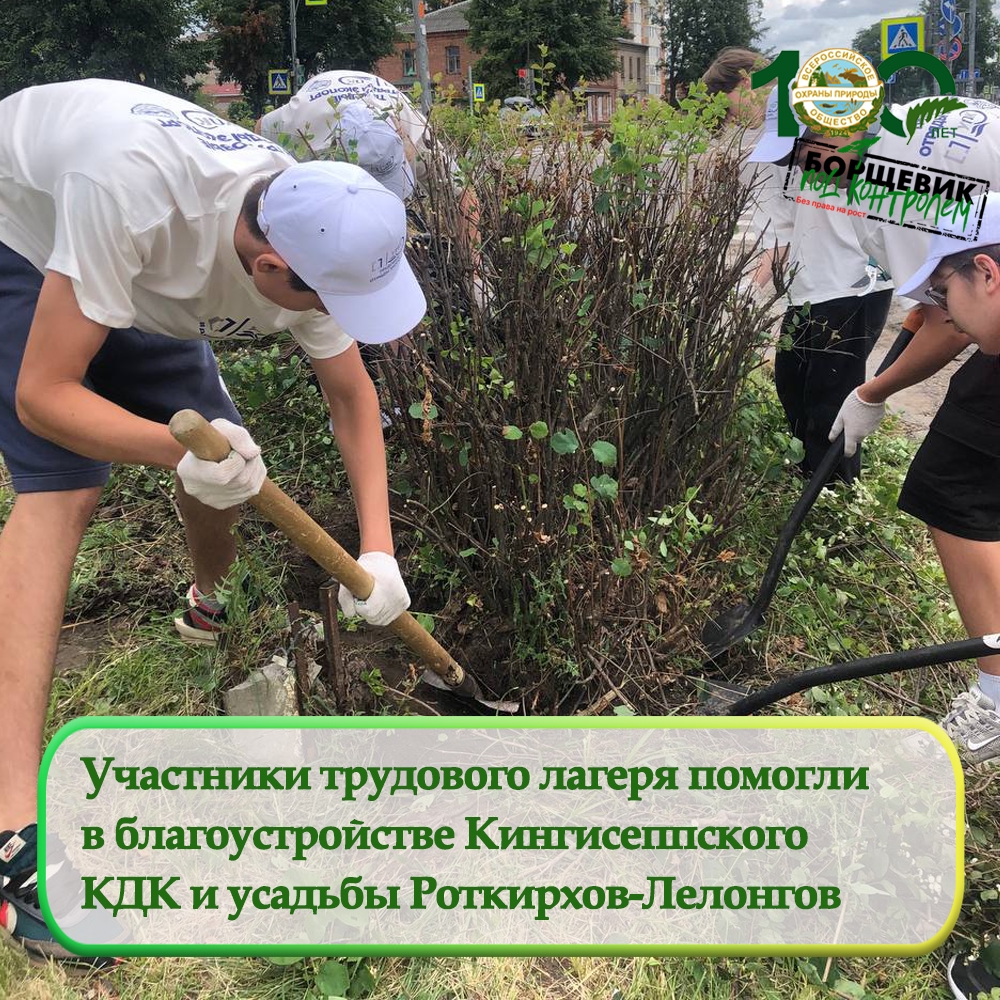Трудовые отряды ППК «Проект ЭКОПОРТ» только стартовали, а результаты уже впечатляют Трудовые отряды ППК «Проект ЭКОПОРТ» только стартовали, а результаты уже впечатляют