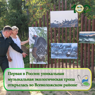 Открылась первая в России музыкальная экологическая тропа