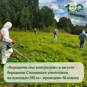«Борщевик под контролем»: в августе  борщевик Сосновного уничтожен  на площади 182 га – проведено 34 покоса