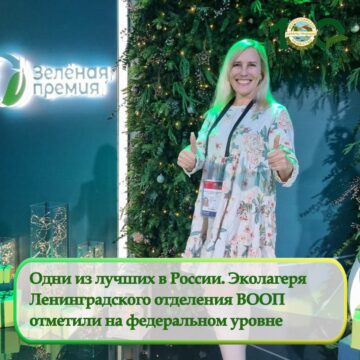 Одни из лучших в России. Эколагеря ВООП отметили на федеральном уровне