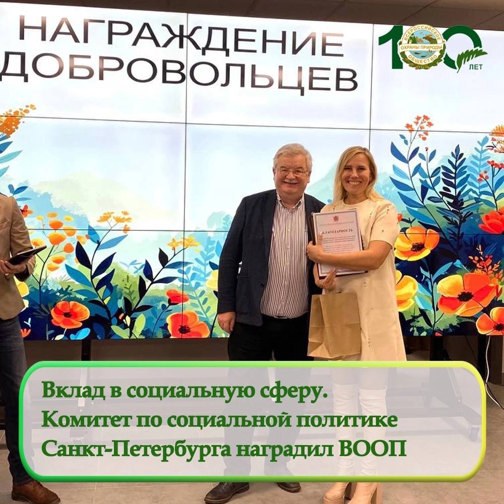 Вклад в социальную сферу. Комитет по соцполитике Санкт-Петербурга наградил ВООП