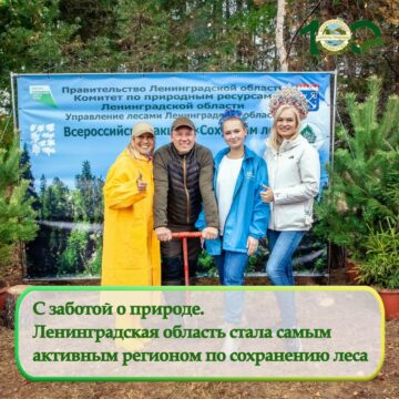 С заботой о природе. Ленинградская область стала самым активным регионом по сохранению леса