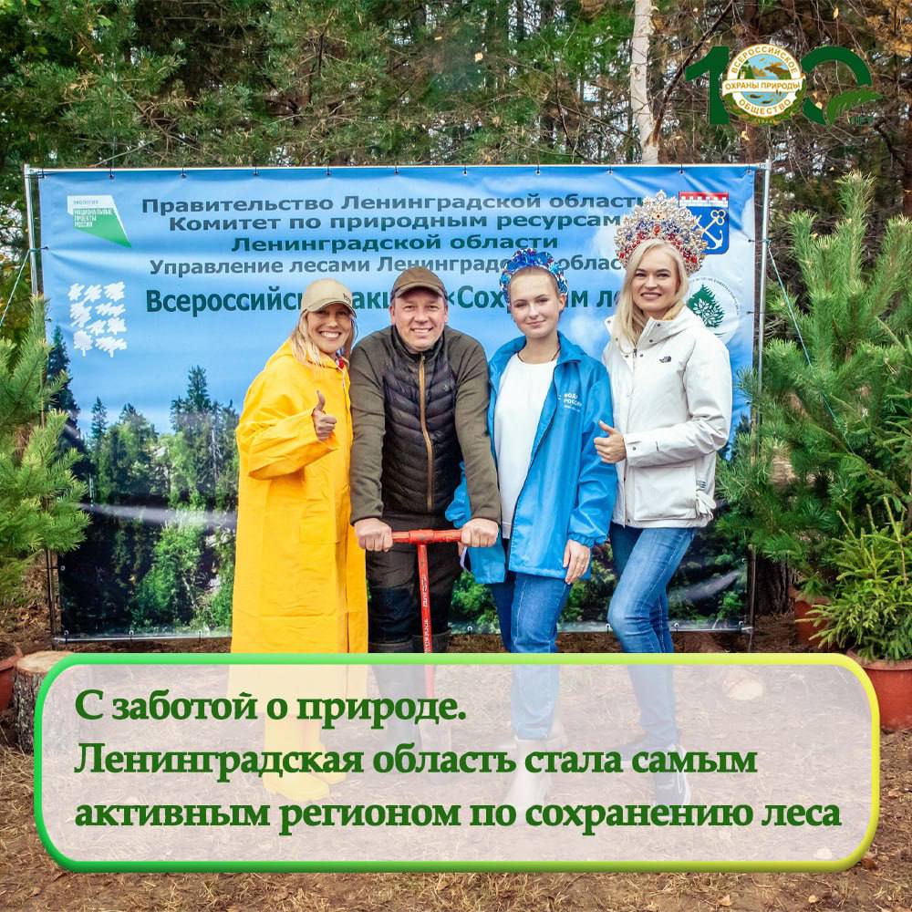 С заботой о природе. Ленинградская область стала самым активным регионом по сохранению леса
