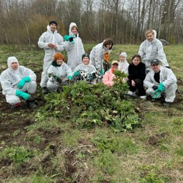В Гладышевском заказнике стартовал экологический лагерь по уничтожению борщевика Сосновского
