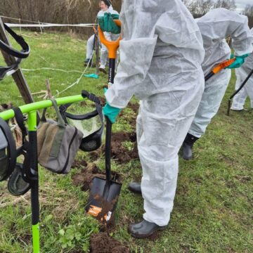 Продолжается активная борьба волонтеров с борщевиком Сосновского в Гладышевском заказнике
