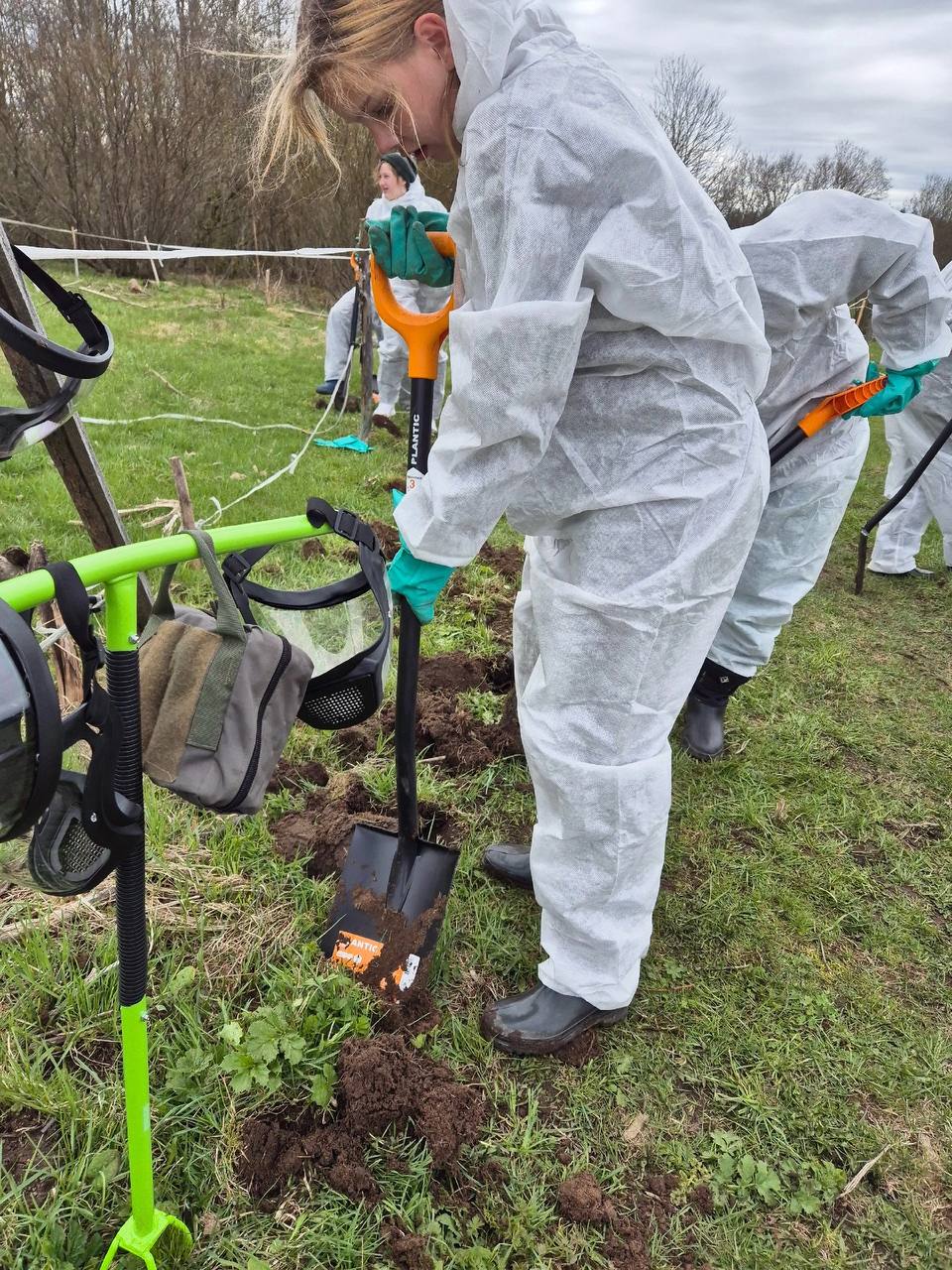 Продолжается активная борьба волонтеров с борщевиком Сосновского в Гладышевском заказнике
