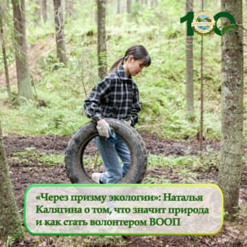 «Через призму экологии»: Чем отличается природа и окружающей среды?