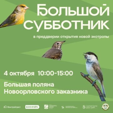 Приглашаем на масштабную уборку в Новорловском заказнике