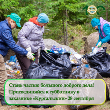 Приглашаем на осенний субботник 28 сентября