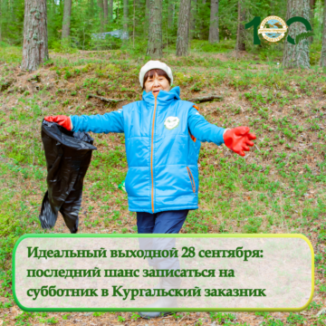 Последний шанс записаться на субботник в Кургальский заказник!
