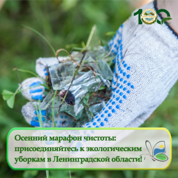 Осенний марафон чистоты: присоединяйтесь к экологическим уборкам в Ленинградской области!