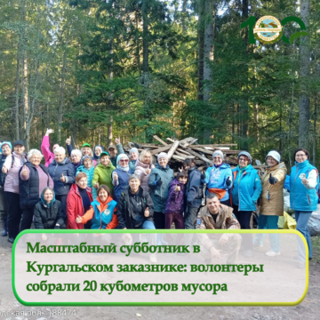Масштабный субботник в  Кургальском заказнике: волонтеры  собрали 20 кубометров мусора