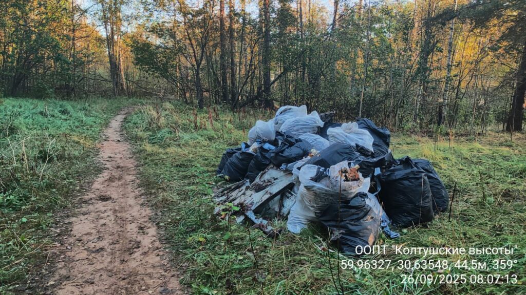 Старт осенних уборок: ученики школы «ШАГ» собрали 4 кубометра мусора