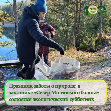 В заказнике «Север Мшинского болота» состоялся экологический субботник