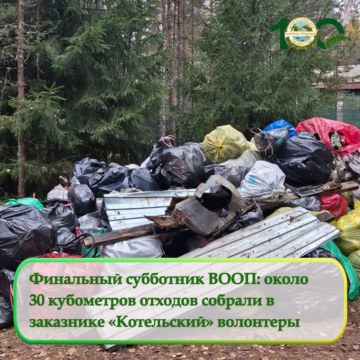 Финальный субботник ВООП: около  30 кубометров отходов собрали в  заказнике «Котельский» волонтеры