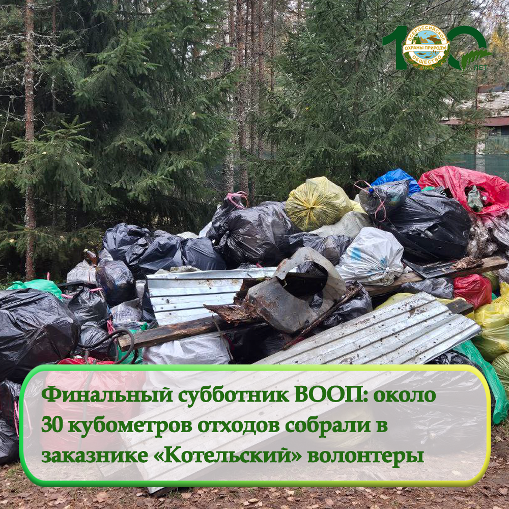 Финальный субботник ВООП: около  30 кубометров отходов собрали в  заказнике «Котельский» волонтеры Финальный субботник ВООП: около  30 кубометров отходов собрали в  заказнике «Котельский» волонтеры