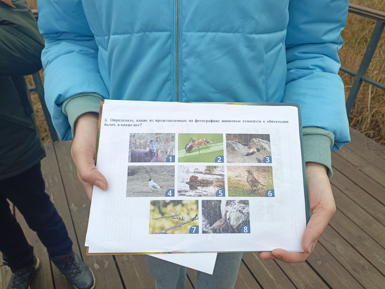 Экологическое просвещение в действии! Экологическое просвещение в действии!