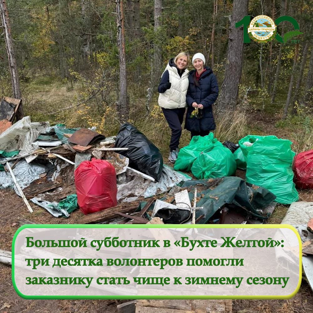 Большой субботник в «Бухте Желтой»: три десятка волонтеров помогли заказнику стать чище к зимнему сезону Большой субботник в «Бухте Желтой»: три десятка волонтеров помогли заказнику стать чище к зимнему сезону