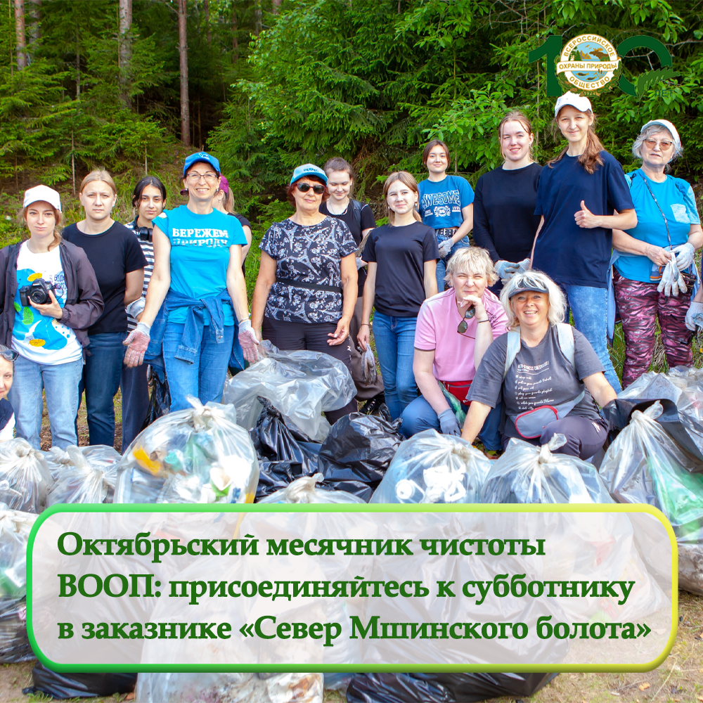 Приглашаем вас присоединиться к масштабному экологическому субботнику Приглашаем вас присоединиться к масштабному экологическому субботнику