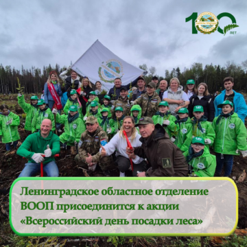 Ленинградское областное отделение ВООП присоединится к масштабной экологической акции «Сохраним лес»