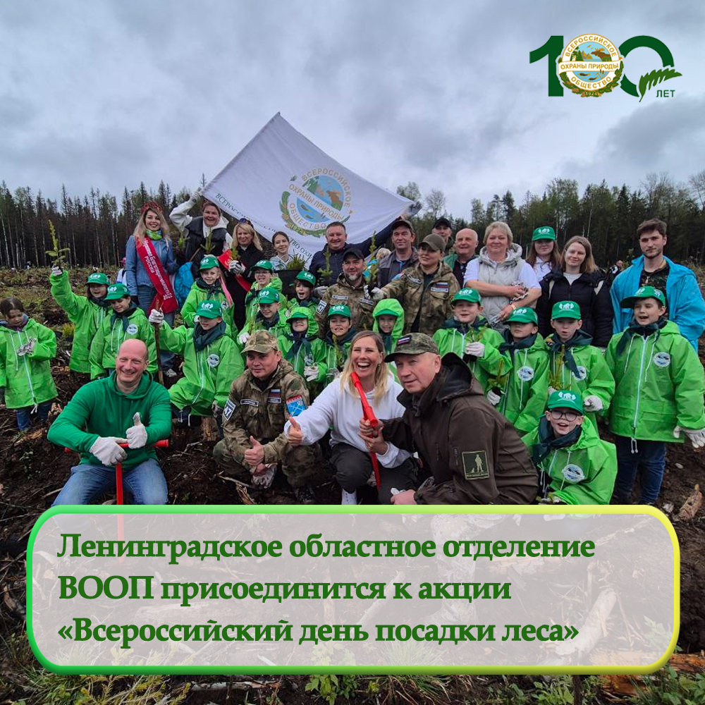 Ленинградское областное отделение ВООП присоединится к масштабной экологической акции «Сохраним лес» Ленинградское областное отделение ВООП присоединится к масштабной экологической акции «Сохраним лес»