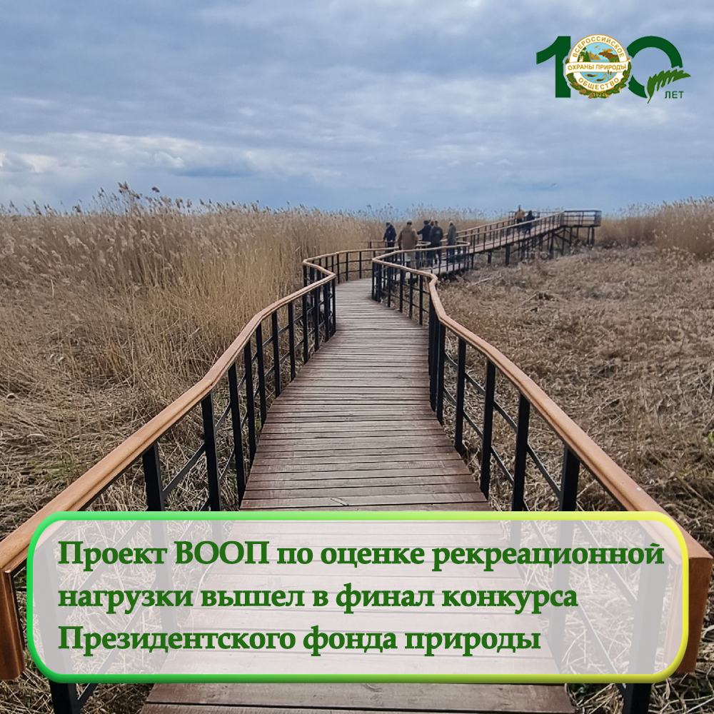 Проект Санкт-Петербургского городского отделения ВООП стал финалистом первого этапа конкурса Президентского фонда природы