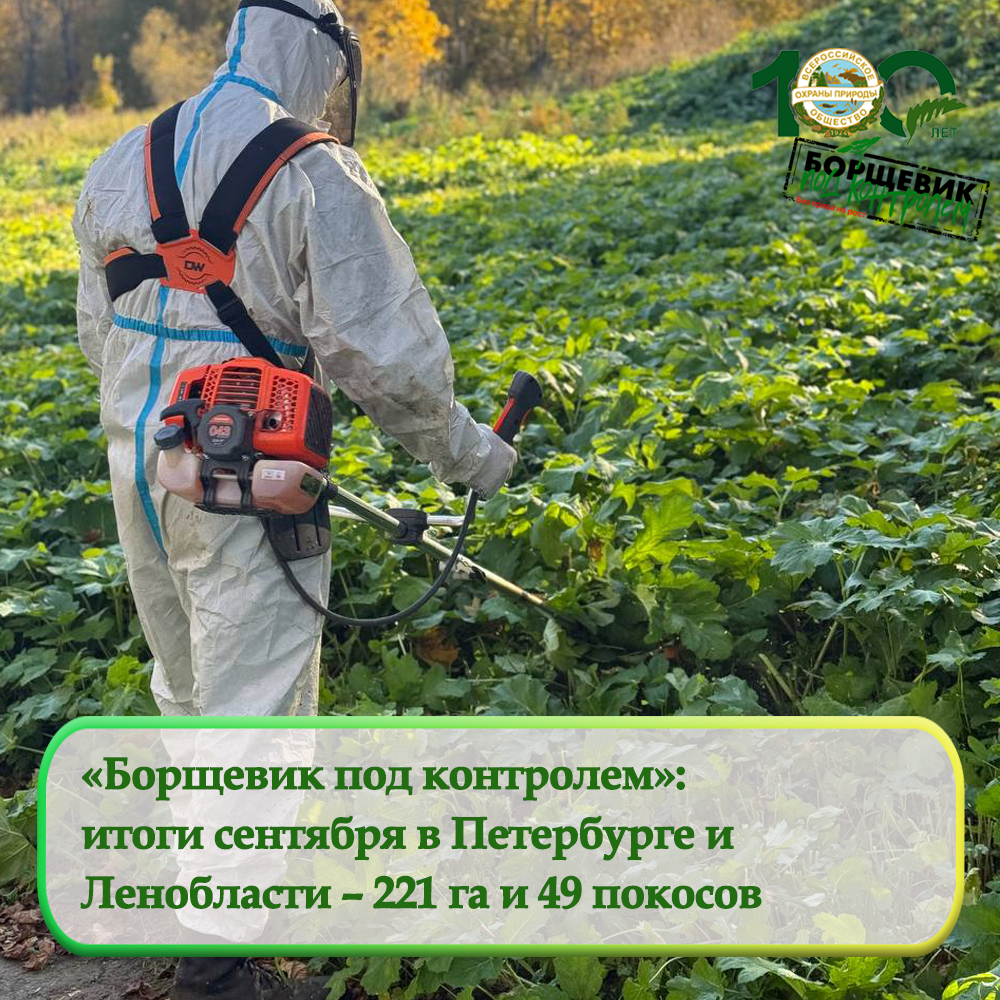 «Борщевик под контролем»:  итоги сентября в Петербурге и  Ленобласти – 221 га и 49 покосов