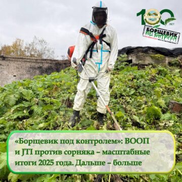 Итоги масштабного проекта «Борщевик под контролем»