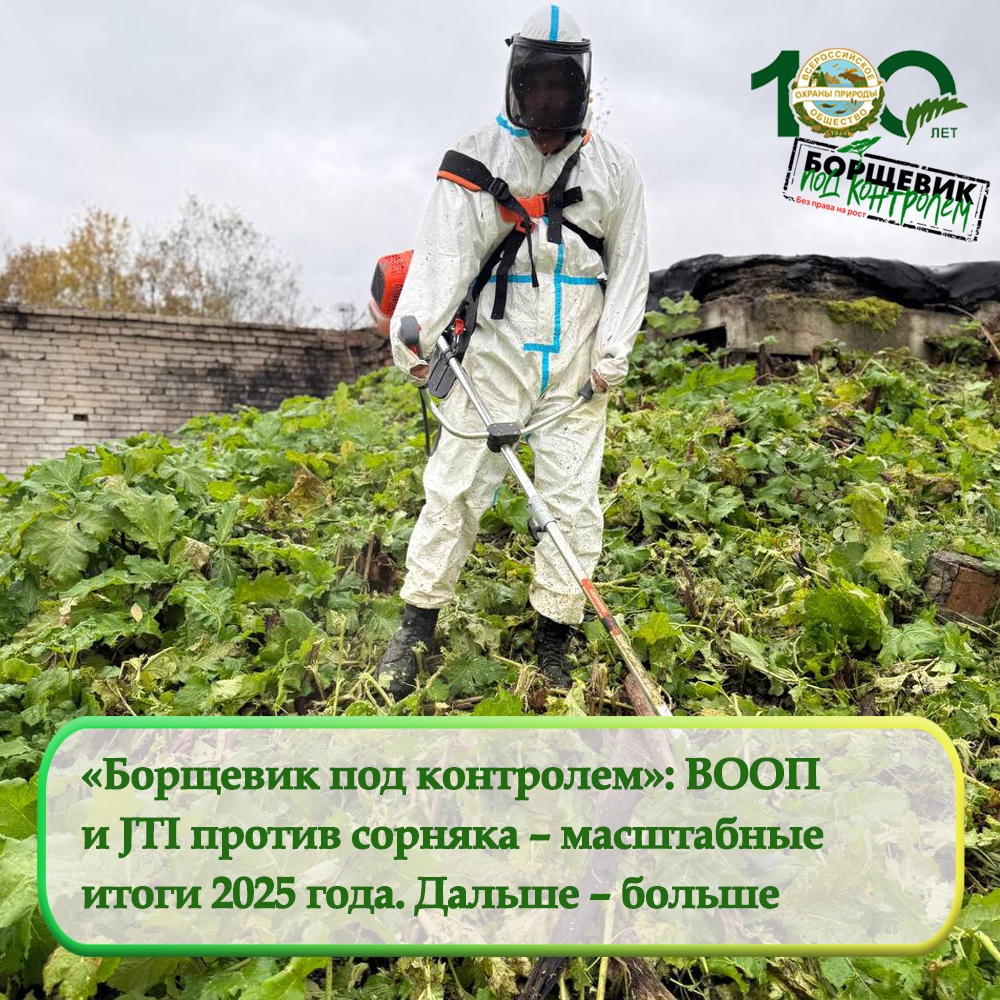 Итоги масштабного проекта «Борщевик под контролем»