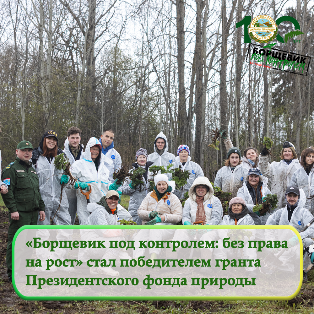 Экологический проект «Борщевик под контролем: без права на рост» стал одним из победителей грантового конкурса Президентского фонда природы!