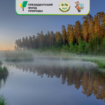 Проект по сохранению ООПТ Санкт-Петербурга получил грант Президентского фонда природы