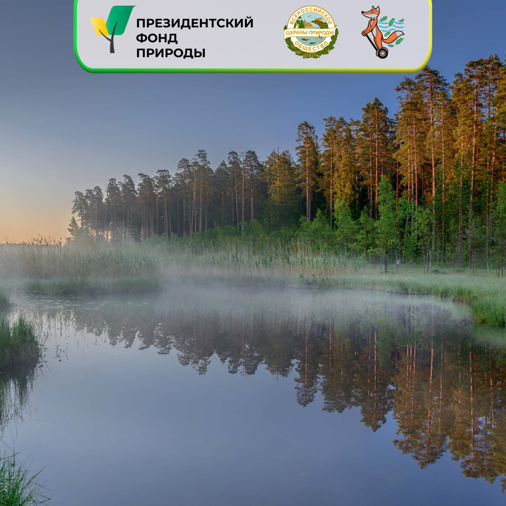 Проект по сохранению ООПТ Санкт-Петербурга получил грант Президентского фонда природы