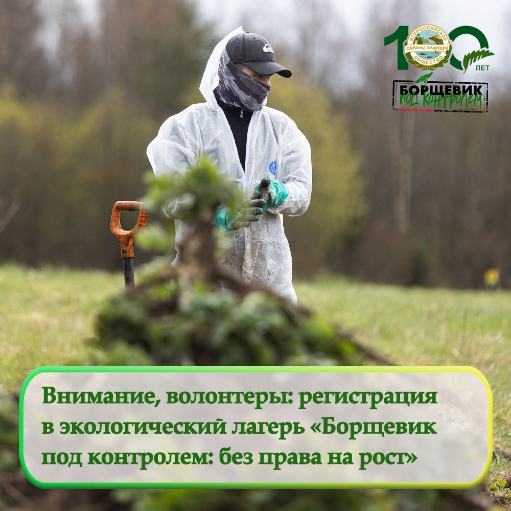 Экологические лагеря «Борщевик под контролем: без права на рост»