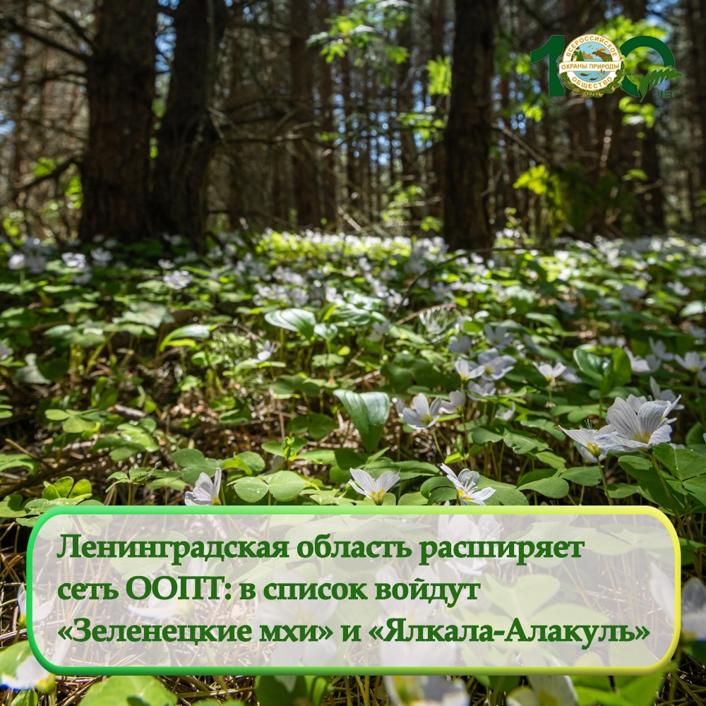 В Ленинградской области появятся четыре новые ООПТ