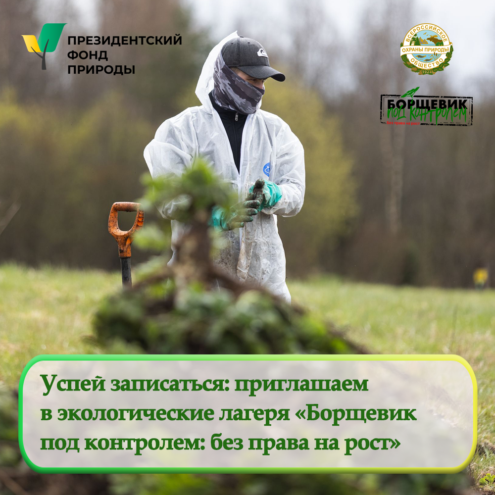«Борщевик под контролем: без права на рост»: расписание экологических лагерей