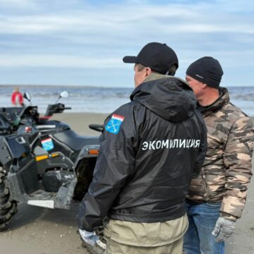 На побережье Финского залива прошел субботник