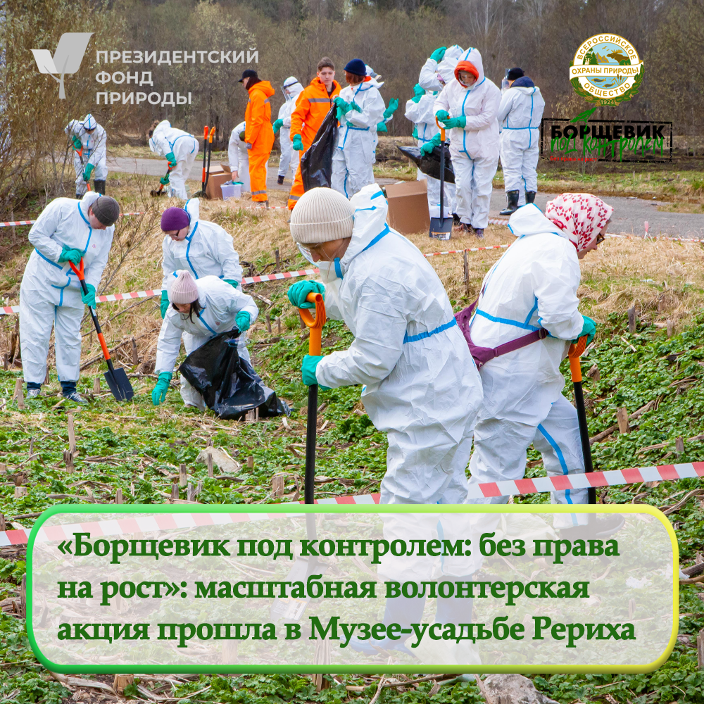 Масштабная экологическая акция прошла в Музее-усадьбе Н.К. Рериха