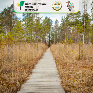 «Сохраним ООПТ в крупных городах: от мониторинга и оценки к практическим решениям»: экскурсии по заказникам