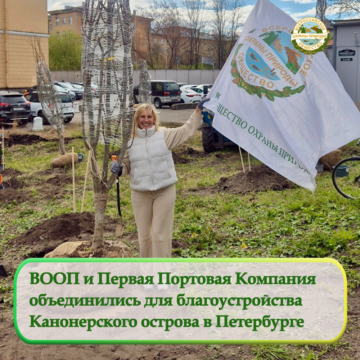 ВООП и Первая Портовая Компания  объединились для благоустройства  Канонерского острова в Петербурге