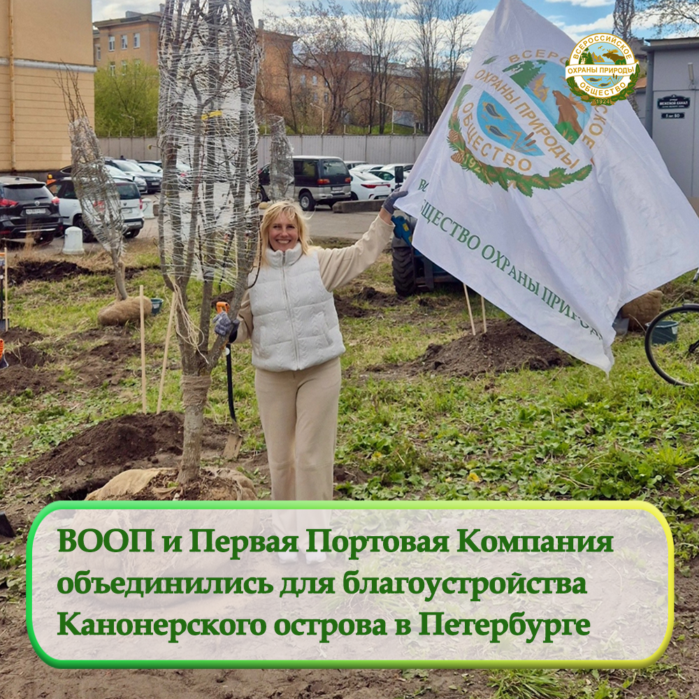 ВООП и Первая Портовая Компания  объединились для благоустройства  Канонерского острова в Петербурге