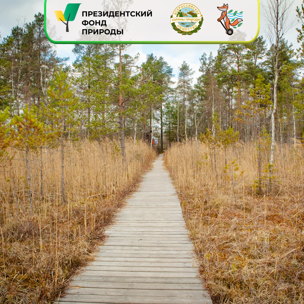 «Сохраним ООПТ в крупных городах: от мониторинга и оценки к практическим решениям»: экскурсии по заказникам