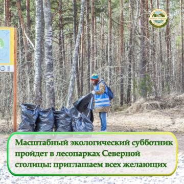 Масштабный экологический субботник  пройдет в лесопарках Северной столицы: приглашаем всех желающих