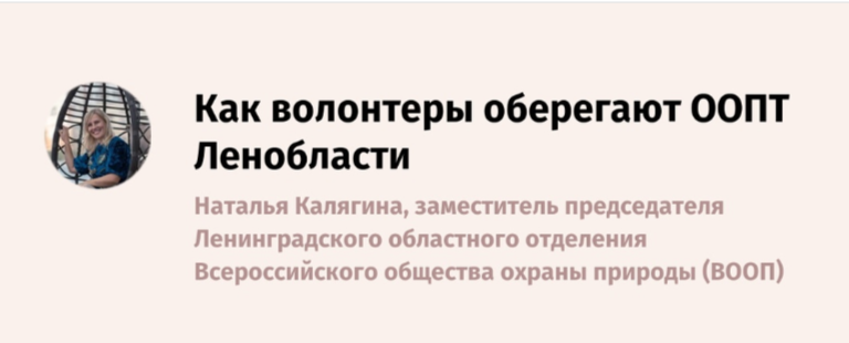 Наталья Калягина – в колонке для издания «Ведомости. Северо-Запад»