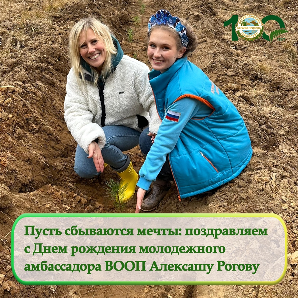 Свой День рождения празднует Алексаша Рогова!