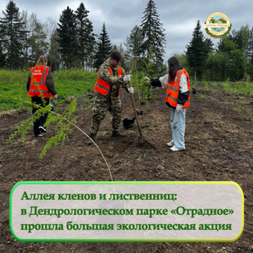 Ленинградское областное отделение ВООП выступило партнером субботника на территории Дендрологического парка «Отрадное»