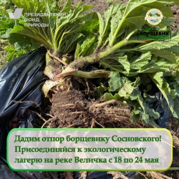 Продолжается набор волонтеров в экологический лагерь на территории Памятника природы «Река Величка» Продолжается набор волонтеров в экологический лагерь на территории Памятника природы «Река Величка»